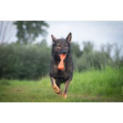 JV PLAYSCENT Os Tordu Boeuf-22cm