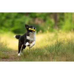 JV PLAYSCENT Os Tordu Poulet-11cm