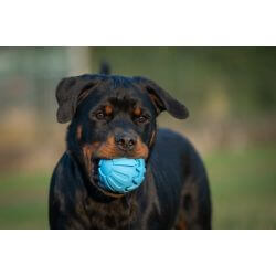 JV PLAYSCENT Balle Bacon-Ø8cm