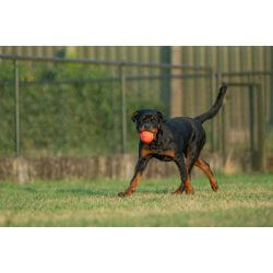 JV PLAYSCENT Balle Boeuf-Ø8cm