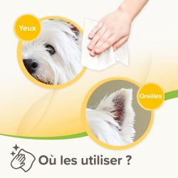 LINGETTES VEGETALES OREILLES & YEUX x30