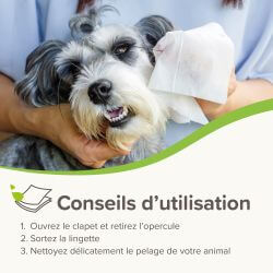 LINGETTES VEGETALES OREILLES & YEUX x30