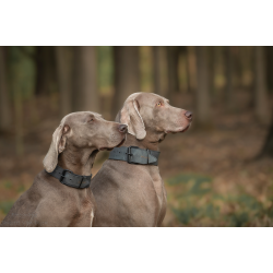 JV BLACK LABEL Collier Large Gris-50mmx70cm