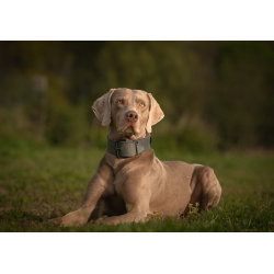 JV BLACK LABEL Collier Large Gris-50mmx75cm