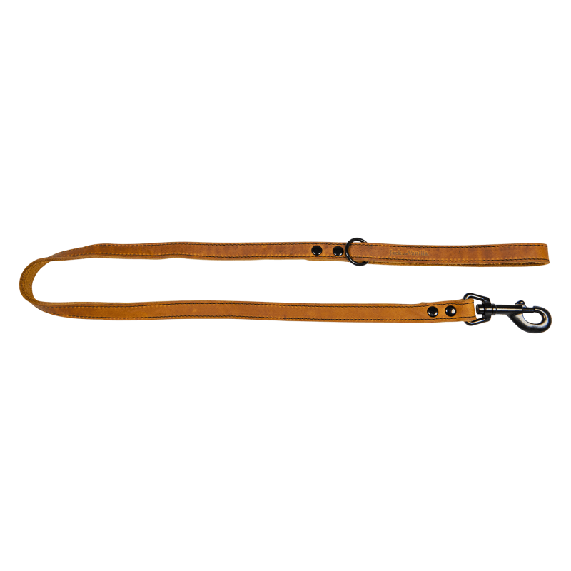 JV BLACK LABEL Laisse Cognac-25mmx100cm