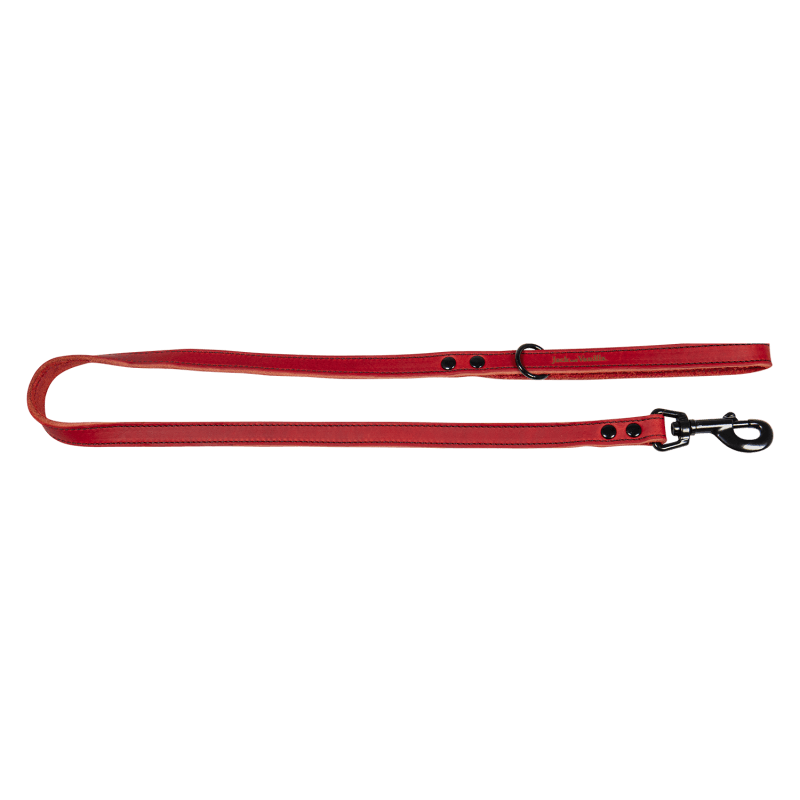 JV BLACK LABEL Laisse Rouge-25mmx100cm