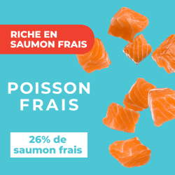 DAFF OPTIMALE CHIEN MEDIUM Saumon 3 Kg