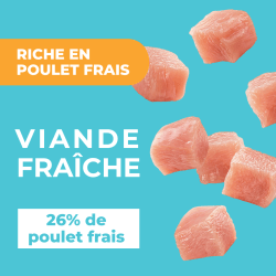 DAFF OPTIMALE CHIEN LARGE POULET 3KG