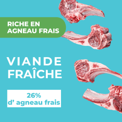 DAFF OPTIMALE CHIEN LARGE AGNEAU 3KG