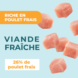 DAFF OPTIMALE EXPERT TOUTES RACES SENIOR 3KG – Poulet Frais