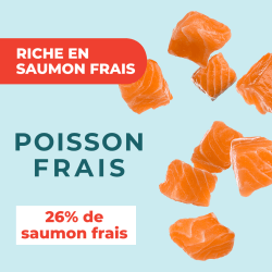 DAFF OPTIMALE EXPERT TOUTES RACES HYPOALLERGENIQUE Saumon 3KG