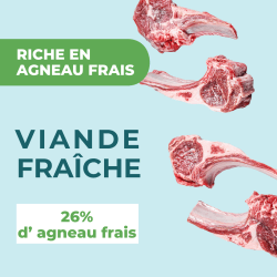 DAFF OPTIMALE EXPERT TOUTES RACES DIGESTION Agneau 12KG