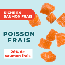 DAFF OPTIMALE CHAT STERILISE SAUMON 5KG