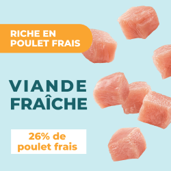 DAFF OPTIMALE CHAT STERILISE POULET 2KG