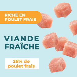 DAFF OPTIMALE EXPERT CHAT STERILISE Poulet 5 Kg