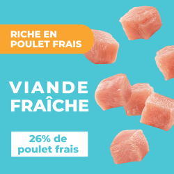 DAFF OPTIMALE CHATON 2KG