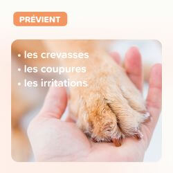 Baume coussinets Chiens - 40 ml