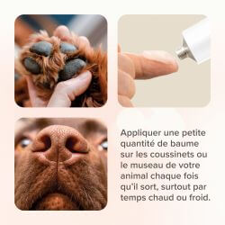 Baume coussinets Chiens - 40 ml