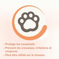 Baume coussinets Chiens - 40 ml