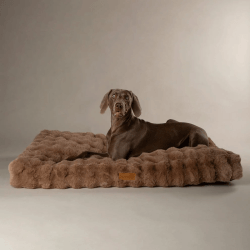 Scruffs Alpine Mattress (L) 100 x 70cm Taupe