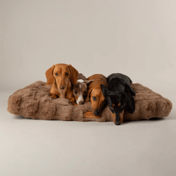 Scruffs Alpine Mattress (XL) 120 x 75cm - Taupe