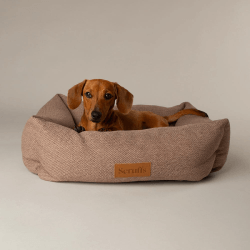 Scruffs Seattle Box Bed (M) Sienna Brown