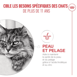 ROYAL CANIN AGEING11+ SAUCE 12x85gr