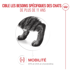ROYAL CANIN AGEING11+ GELEE