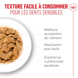 ROYAL CANIN AGEING11+ GELEE