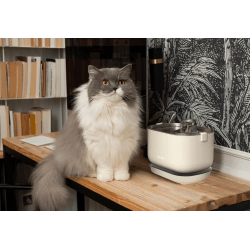 FONTAINE A EAU SANS FIL CREME BANDIT