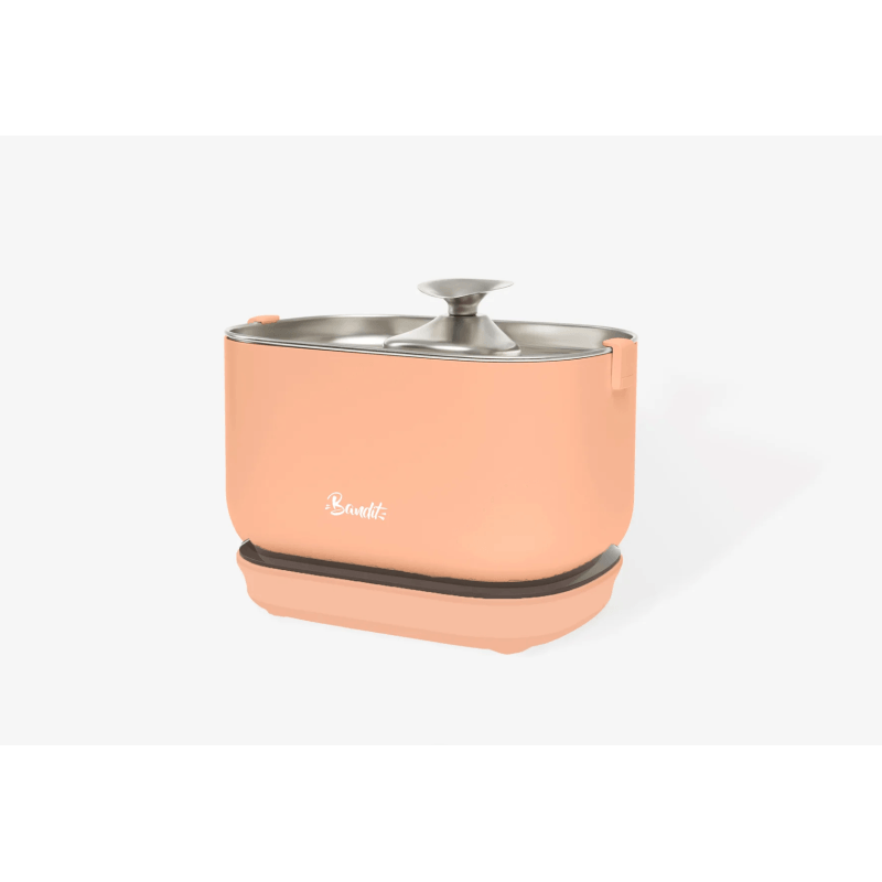 FONTAINE A EAU SANS FIL PECHE BANDIT