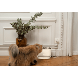 FONTAINE A EAU CREME BANDIT
