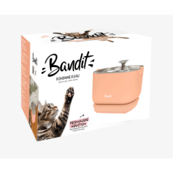 FONTAINE A EAU PECHE BANDIT