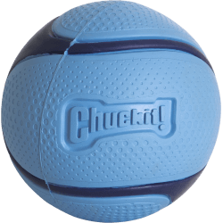 JOUET CHUCKIT SNIFF FETCH BALL™ 1PK MD BACON