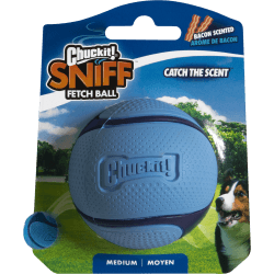 JOUET CHUCKIT SNIFF FETCH...