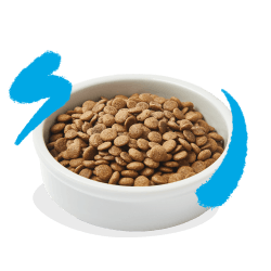 CHAT ADULTE CROQUETTES SAUMON 2 KG