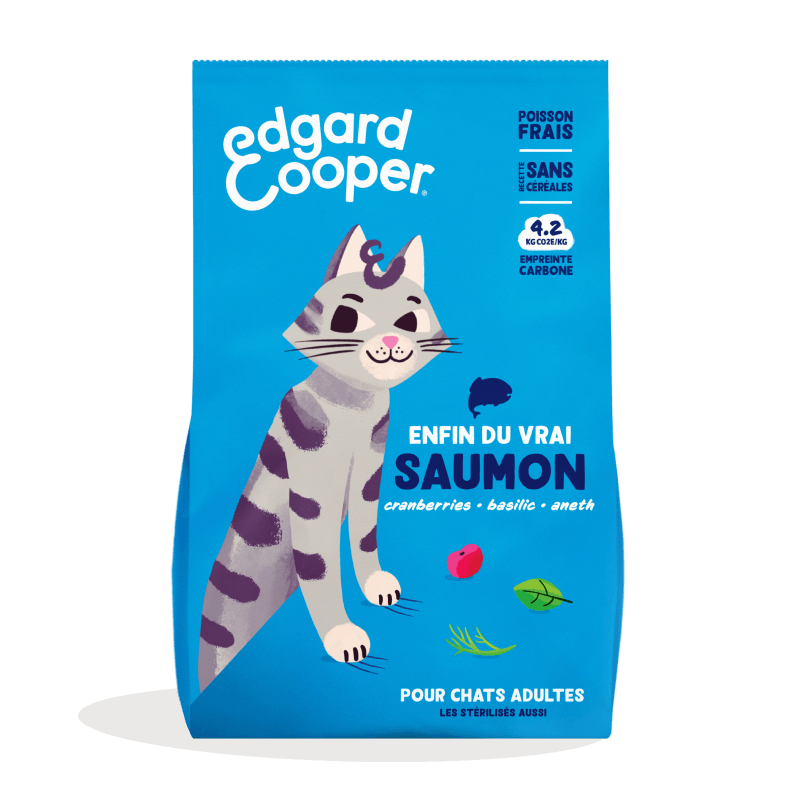 CHAT ADULTE CROQUETTES SAUMON 2 KG