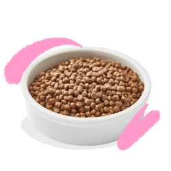 CHATON CROQUETTES CANARD/POULET 2 KG