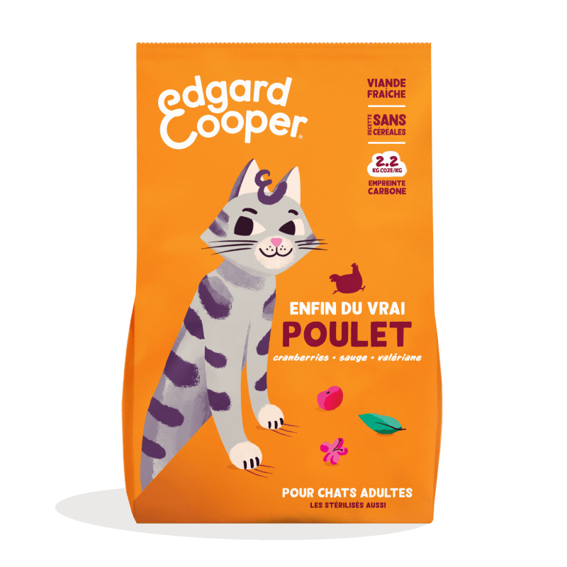 CHAT ADULTE CROQUETTES POULET 2 KG