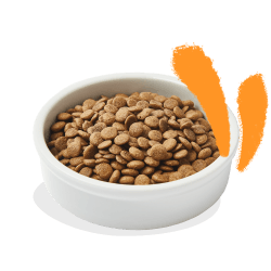 CHAT ADULTE CROQUETTES POULET 4 KG
