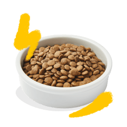 CHAT ADULTE CROQUETTES DINDE/POULET 2 KG