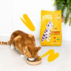 CHAT ADULTE CROQUETTES DINDE/POULET 2 KG