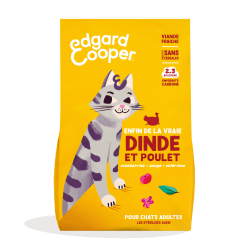 CHAT ADULTE CROQUETTES...