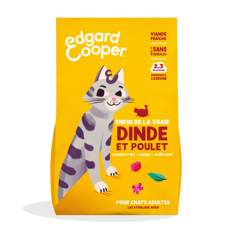 CHAT ADULTE CROQUETTES DINDE/POULET 2 KG