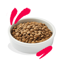 CHAT SENIOR CROQUETTES POULET/DINDE 2 KG