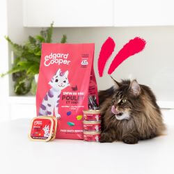 CHAT SENIOR CROQUETTES POULET/DINDE 2 KG
