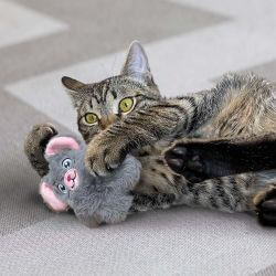 Cat Snuzzles Mouse