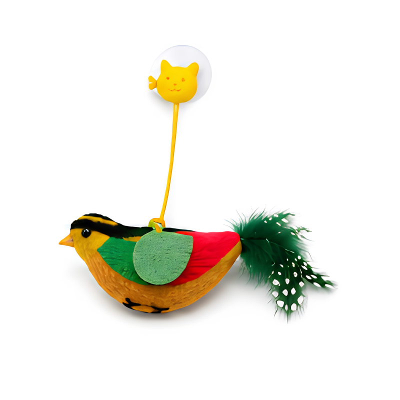 jouet chat Oiseaux