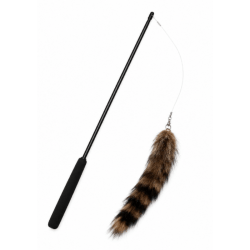 Canne à pêche raton laveur