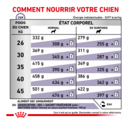 Royal Canin Neutered Adult Grand Chien Stérilisé — Croquettes 12 kg